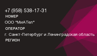 9585381731